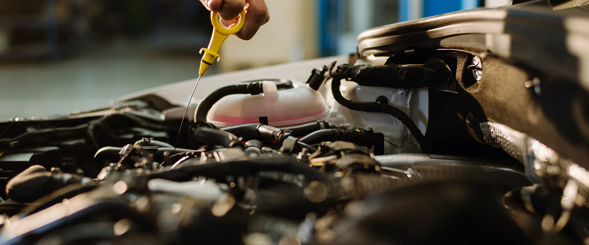 Full Service Oil Changes near Marne, MI